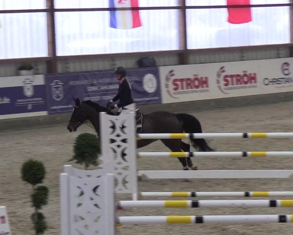 Nordic Jumping events 2019