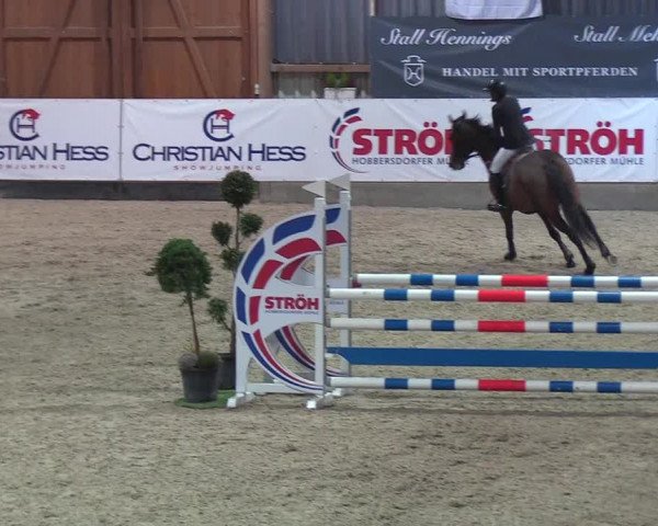 Nordic Jumping events 2019