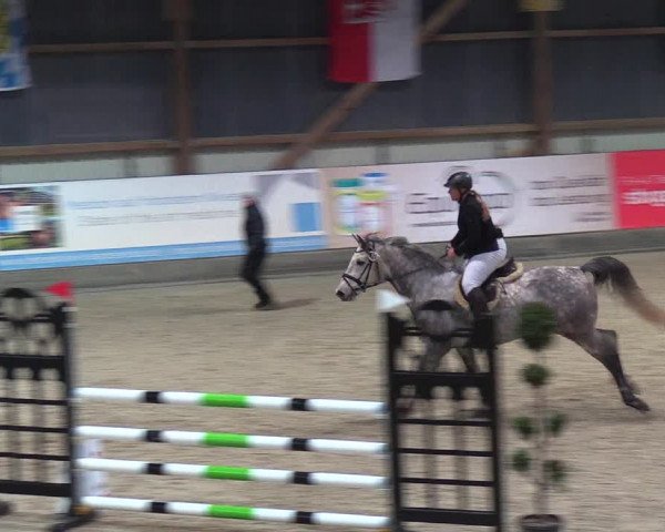 Nordic Jumping events 2019