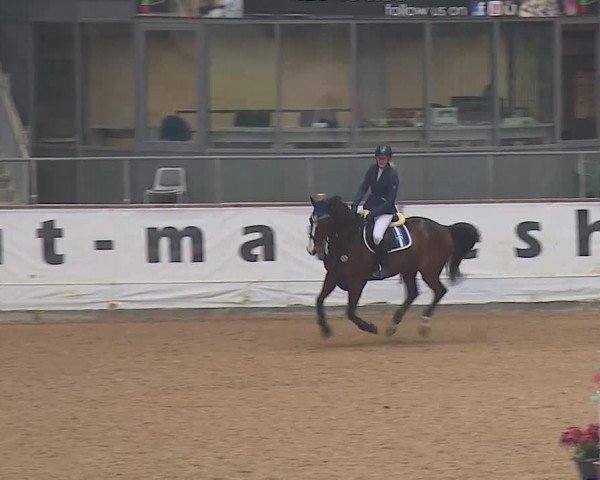 Reitturnier Kreuth/Opf. 2019