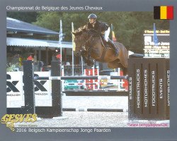 broodmare Kaya van het Netehof (Belgian Warmblood, 2010, from Catoki)