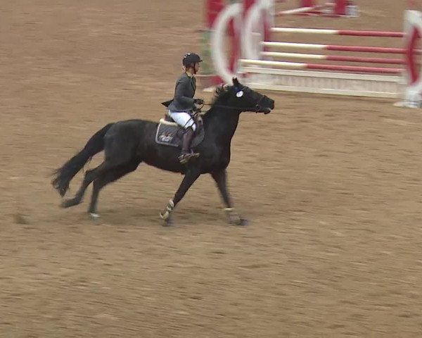 Reitturnier Kreuth/Opf. 2019