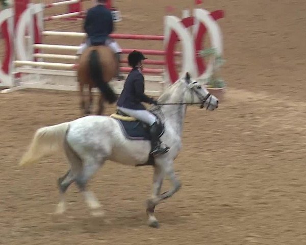 Reitturnier Kreuth/Opf. 2019