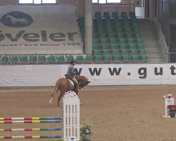 Reitturnier Kreuth/Opf. 2019