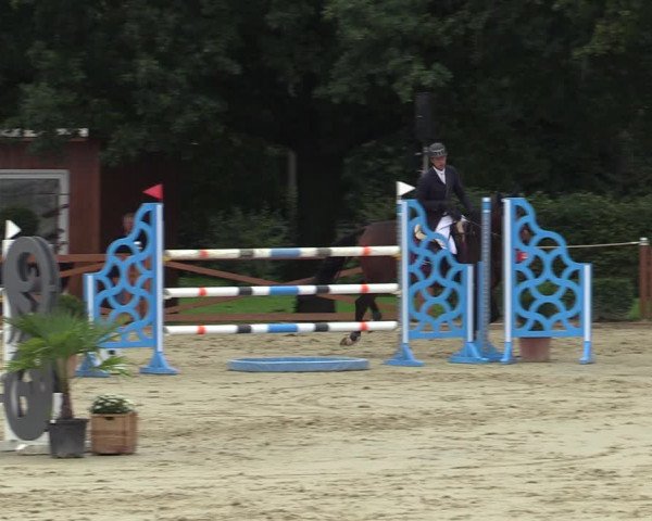 Equus Colonius - Reitanlage Brüse Köln 2021