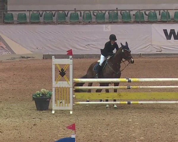 Reitturnier Kreuth/Opf. 2019