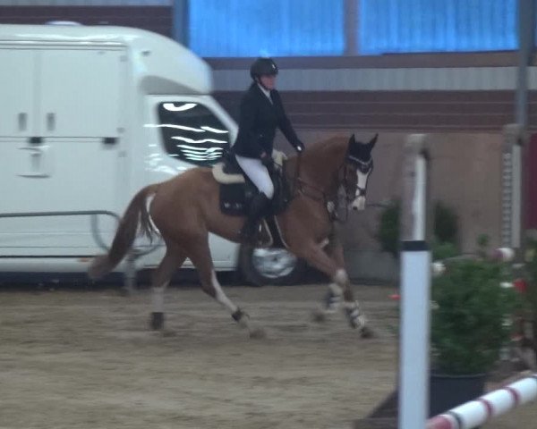 Reitturnier Kaldenkirchen - Gestüt Seehof 2019