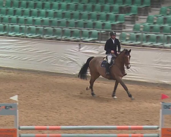 Reitturnier Kreuth/Opf. 2019