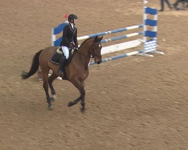 Reitturnier Kreuth/Opf. 2019