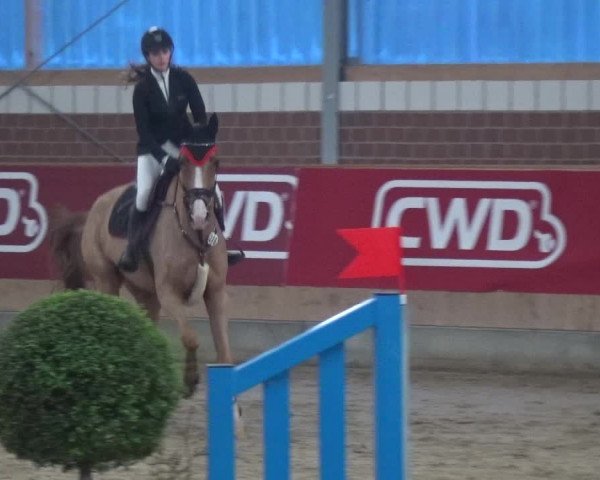 Reitturnier Kaldenkirchen - Gestüt Seehof 2019
