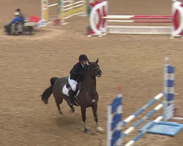 Reitturnier Kreuth/Opf. 2019