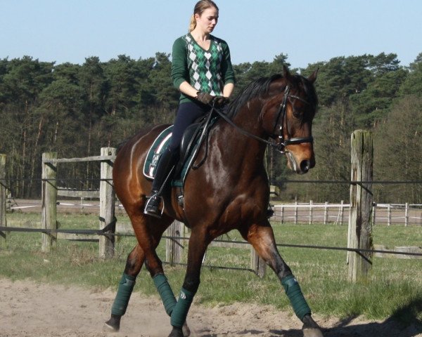 broodmare Eowyn (Hanoverian, 2006, from Earl)