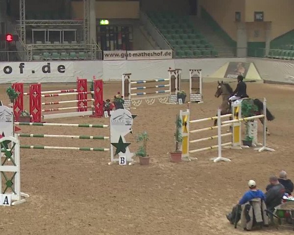 Reitturnier Kreuth/Opf. 2019