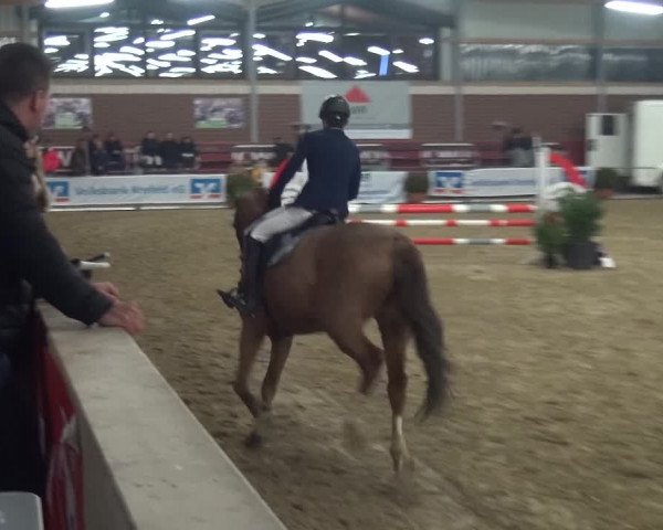 Reitturnier Kaldenkirchen - Gestüt Seehof 2019
