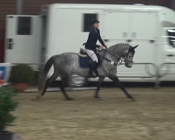 Reitturnier Kaldenkirchen - Gestüt Seehof 2019