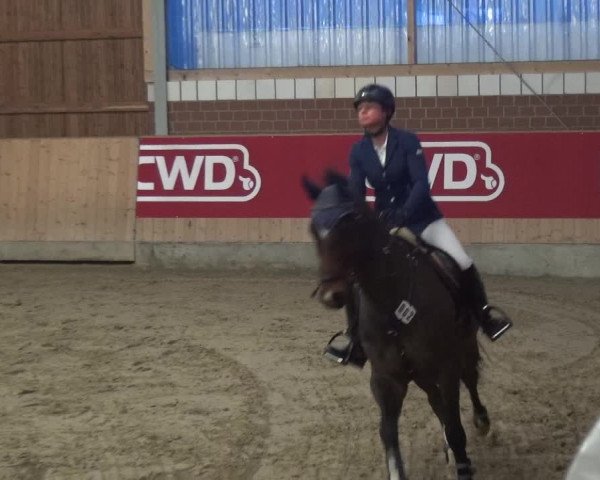 Reitturnier Kaldenkirchen - Gestüt Seehof 2019