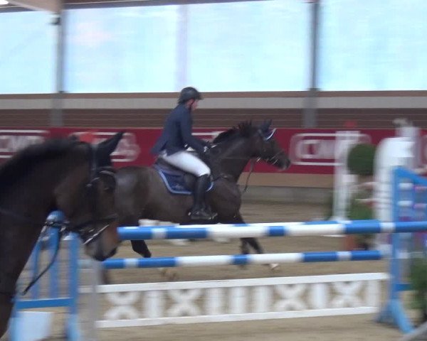 Reitturnier Kaldenkirchen - Gestüt Seehof 2019