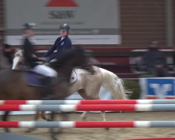 Reitturnier Kaldenkirchen - Gestüt Seehof 2019