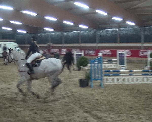 Reitturnier Kaldenkirchen - Gestüt Seehof 2019