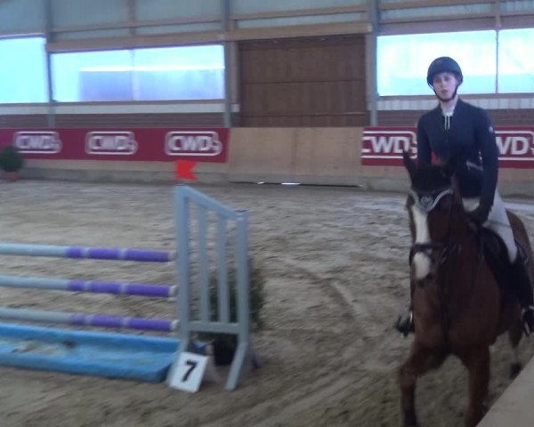Reitturnier Kaldenkirchen - Gestüt Seehof 2019