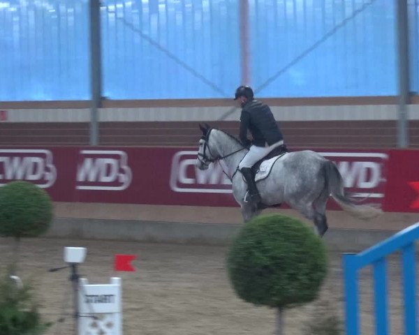 Reitturnier Kaldenkirchen - Gestüt Seehof 2019