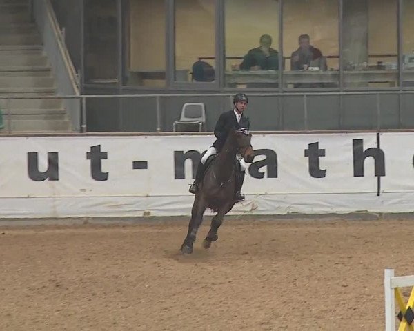 Jezdecký turnaj Kreuth/Opf. 2019