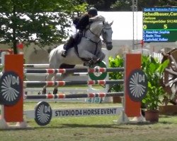 jumper Carlzon (Holsteiner, 2004, from Calgary)