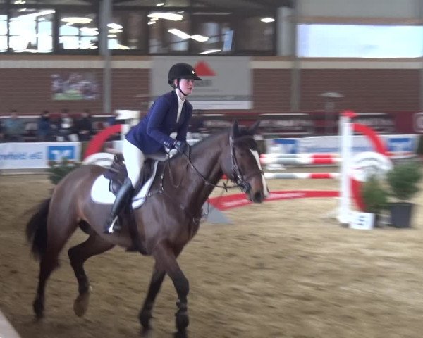 Reitturnier Kaldenkirchen - Gestüt Seehof 2019