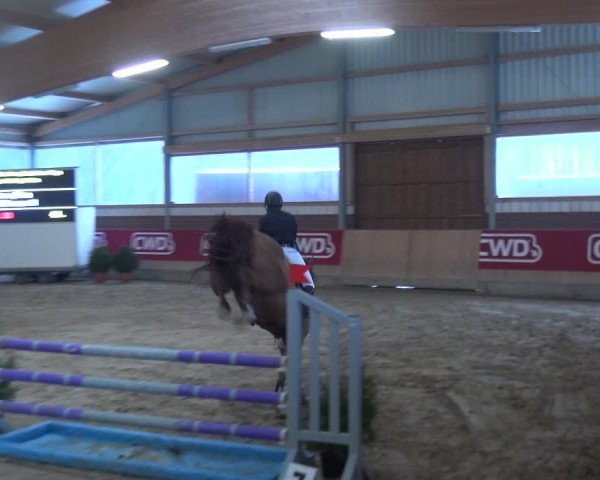 Reitturnier Kaldenkirchen - Gestüt Seehof 2019