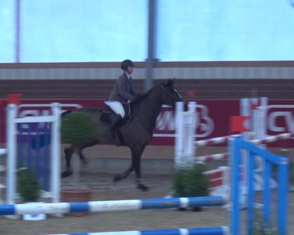 Reitturnier Kaldenkirchen - Gestüt Seehof 2019
