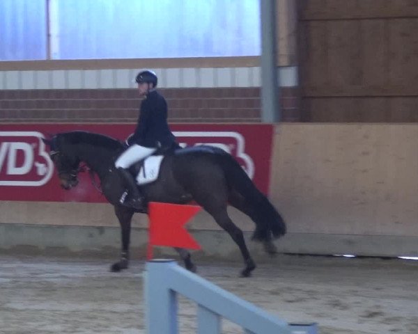 Reitturnier Kaldenkirchen - Gestüt Seehof 2019