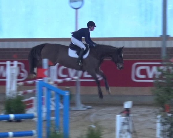 Reitturnier Kaldenkirchen - Gestüt Seehof 2019