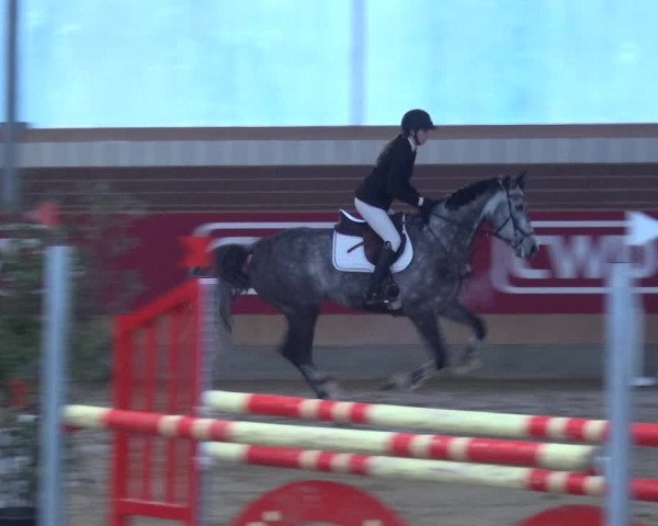 Reitturnier Kaldenkirchen - Gestüt Seehof 2019