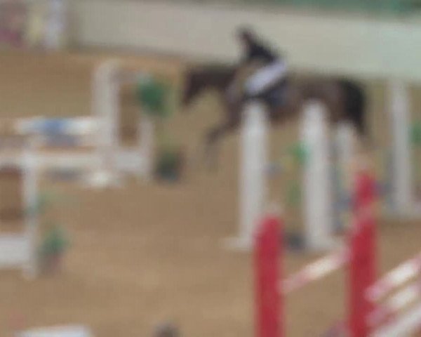 Reitturnier Kreuth/Opf. 2019