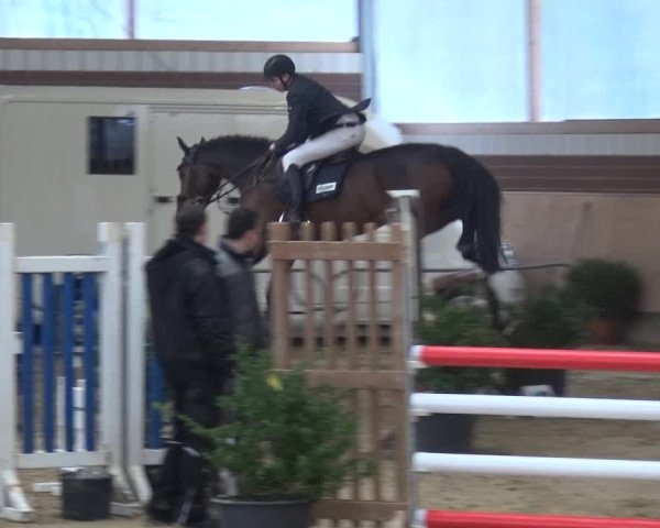 Reitturnier Kaldenkirchen - Gestüt Seehof 2019