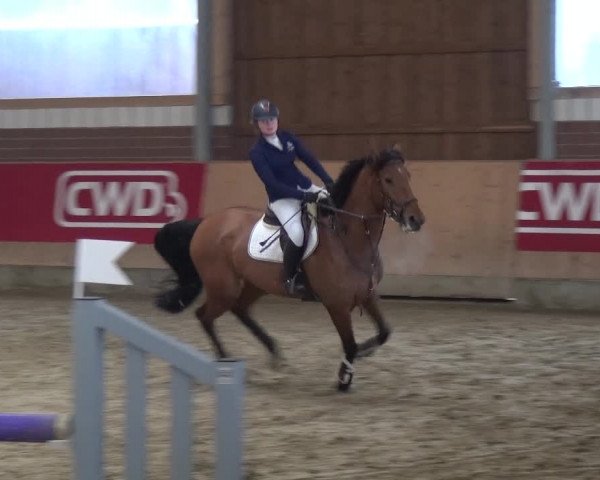 Reitturnier Kaldenkirchen - Gestüt Seehof 2019