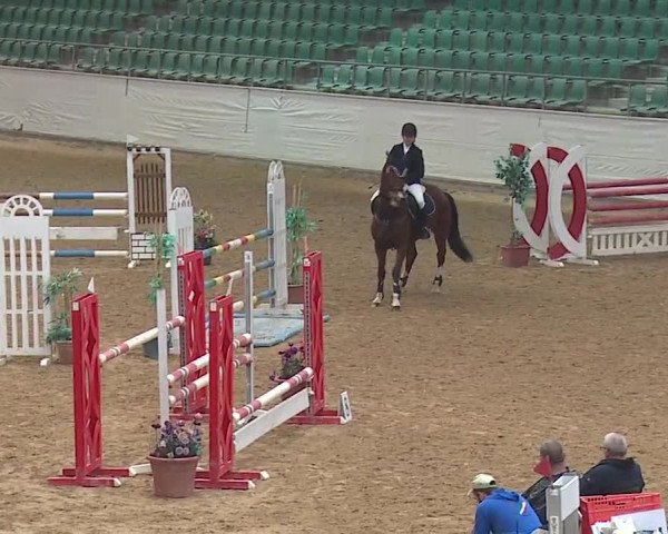 Reitturnier Kreuth/Opf. 2019