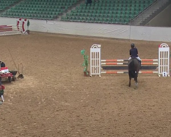 Reitturnier Kreuth/Opf. 2019