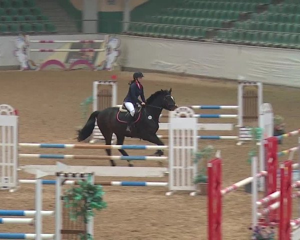 Reitturnier Kreuth/Opf. 2019