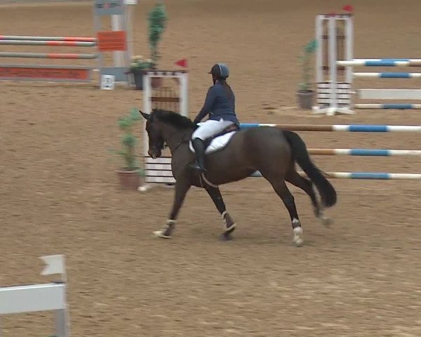 Reitturnier Kreuth/Opf. 2019
