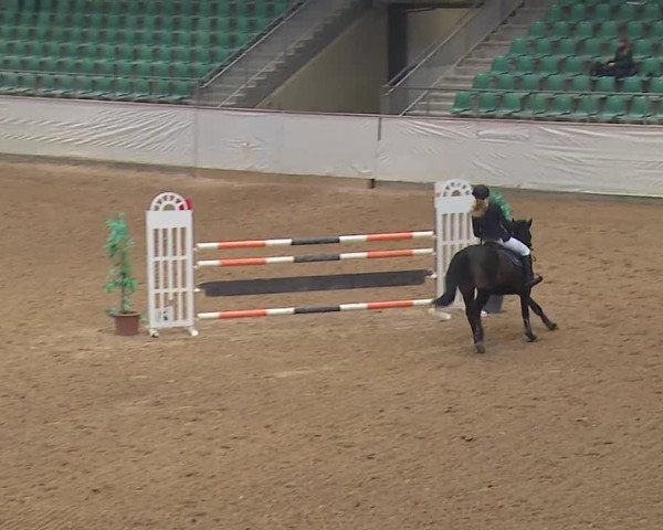 Reitturnier Kreuth/Opf. 2019