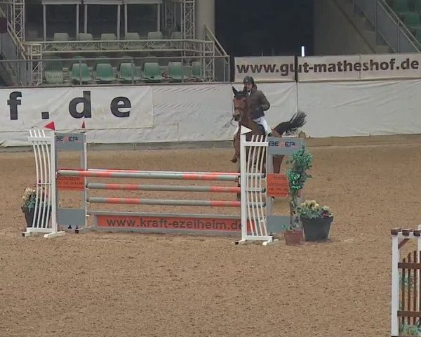 Reitturnier Kreuth/Opf. 2019