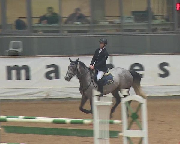 Reitturnier Kreuth/Opf. 2019