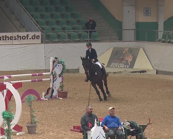 Reitturnier Kreuth/Opf. 2019