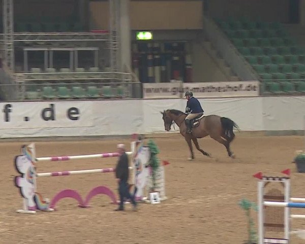 Reitturnier Kreuth/Opf. 2019