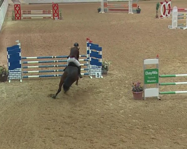 Reitturnier Kreuth/Opf. 2019
