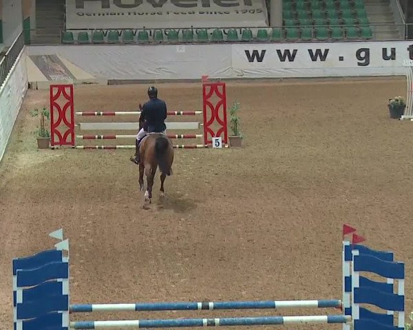 Reitturnier Kreuth/Opf. 2019