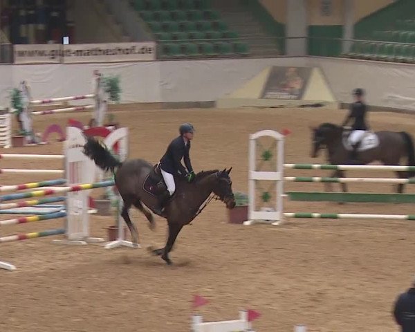 Reitturnier Kreuth/Opf. 2019
