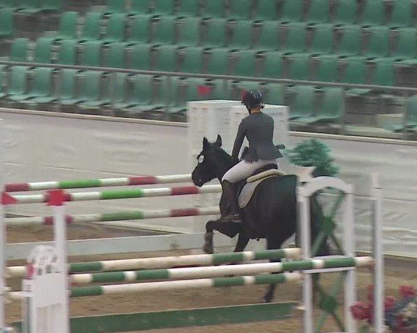 Reitturnier Kreuth/Opf. 2019