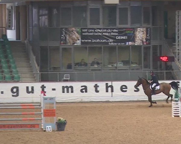 Reitturnier Kreuth/Opf. 2019
